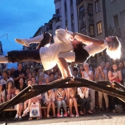 Leonardobruecke_6